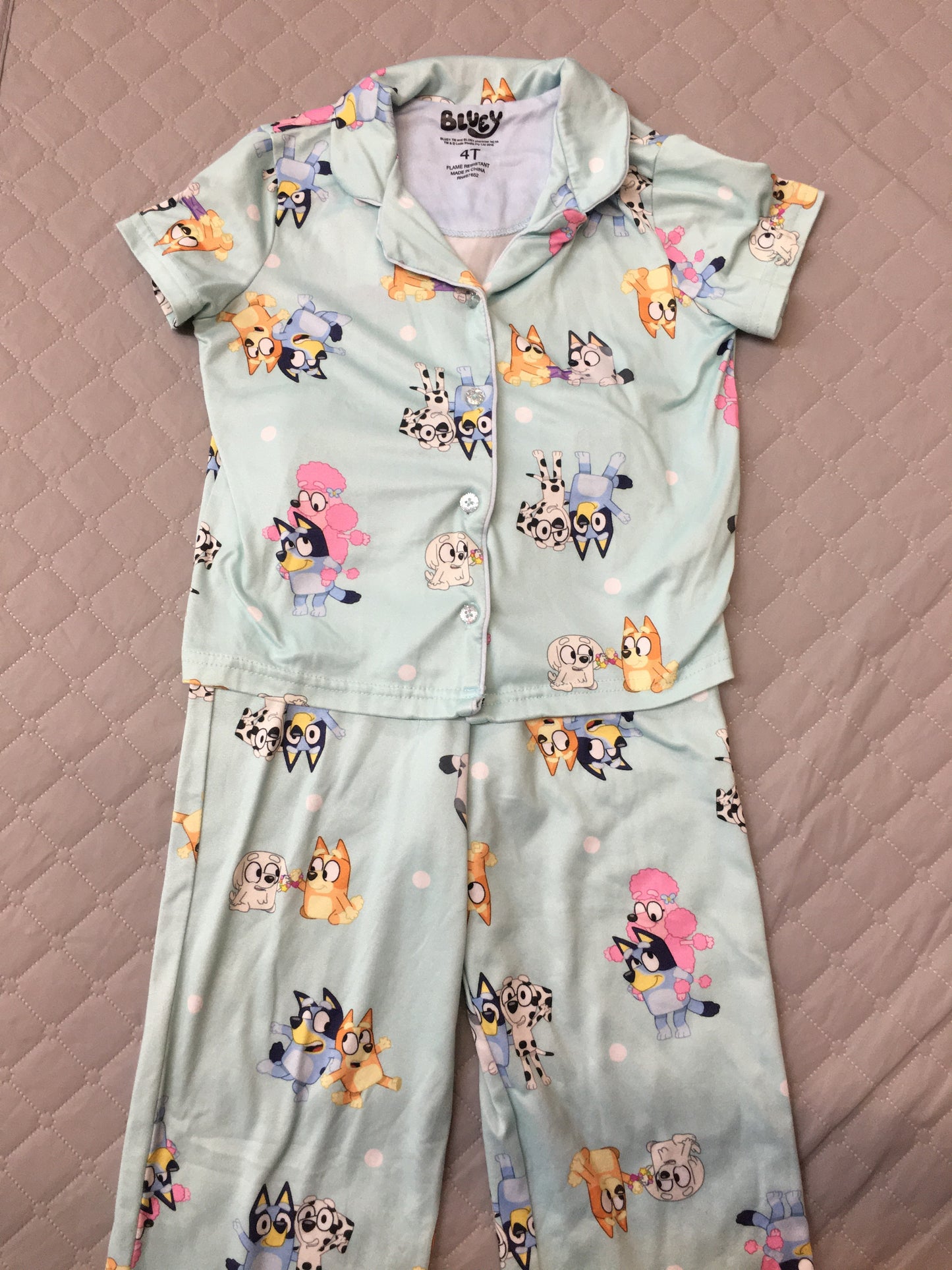 Bluey 2 Piece Collared Pajama Set, 4t