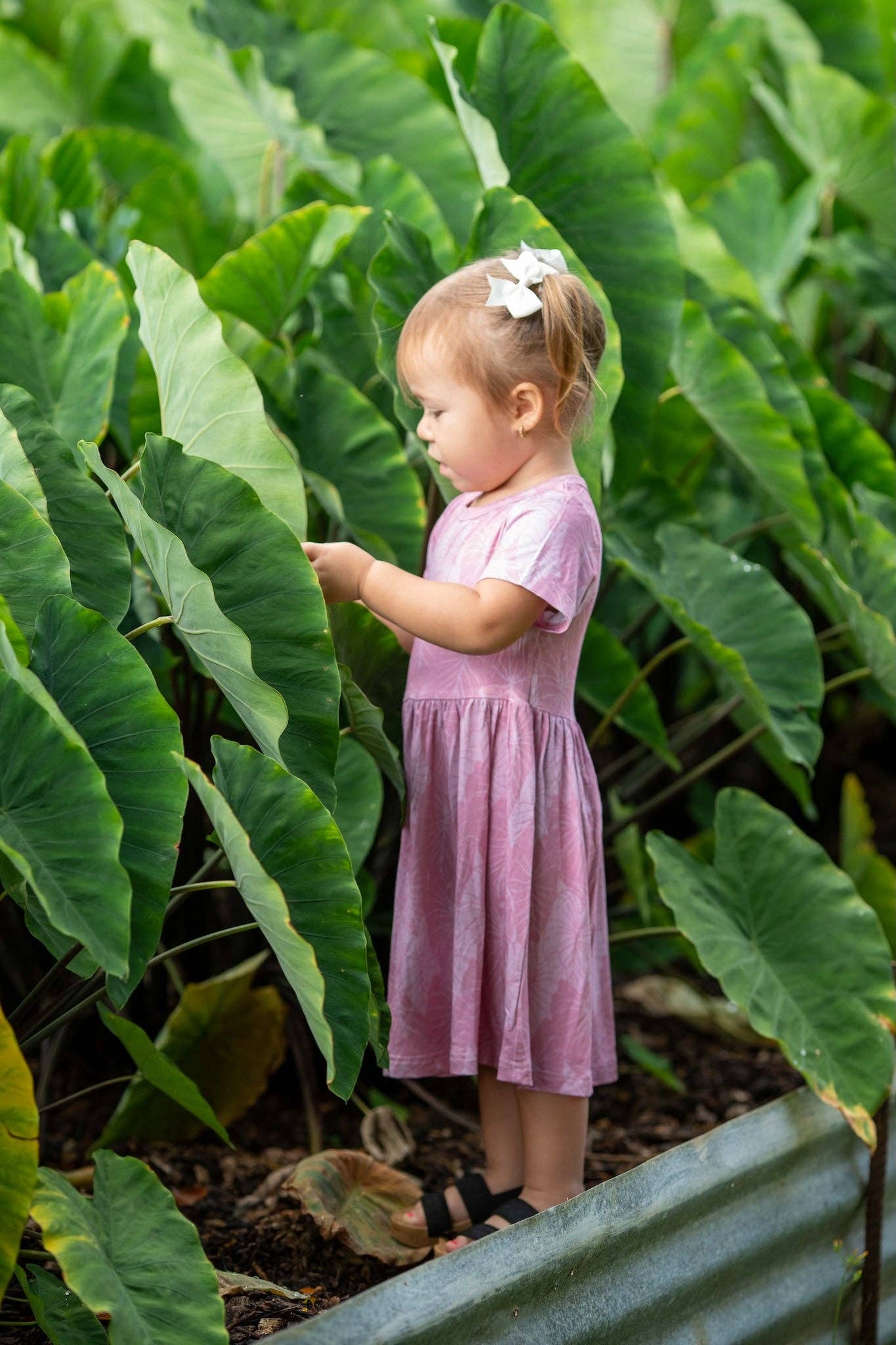 Pink Loʻi Kalo Bamboo Kaliko Dress: 4Y