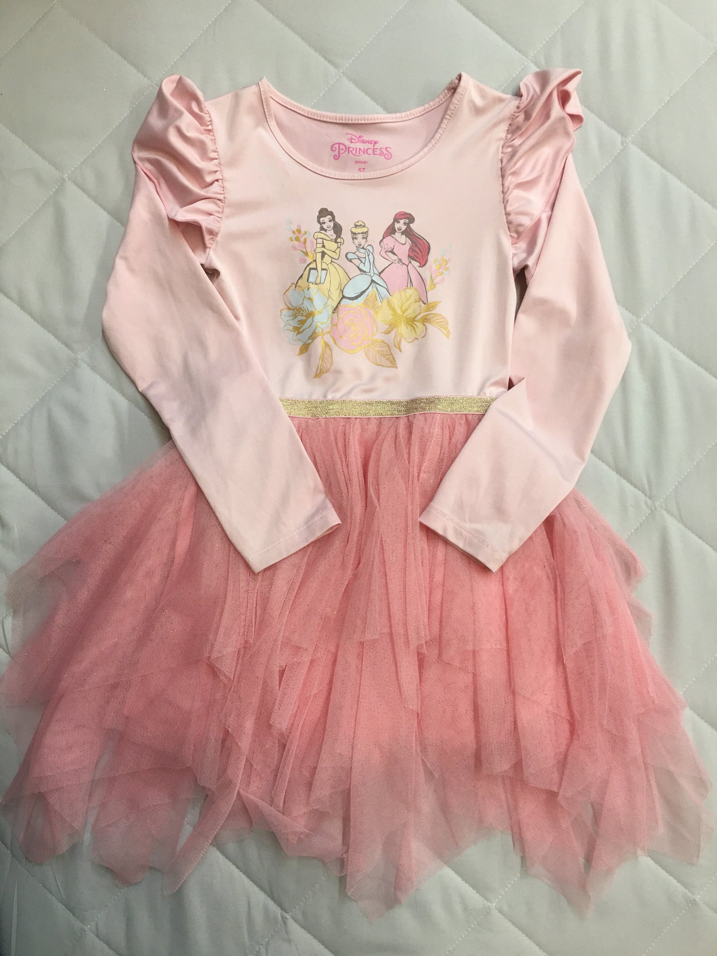 Disney Princess Dress, 5T