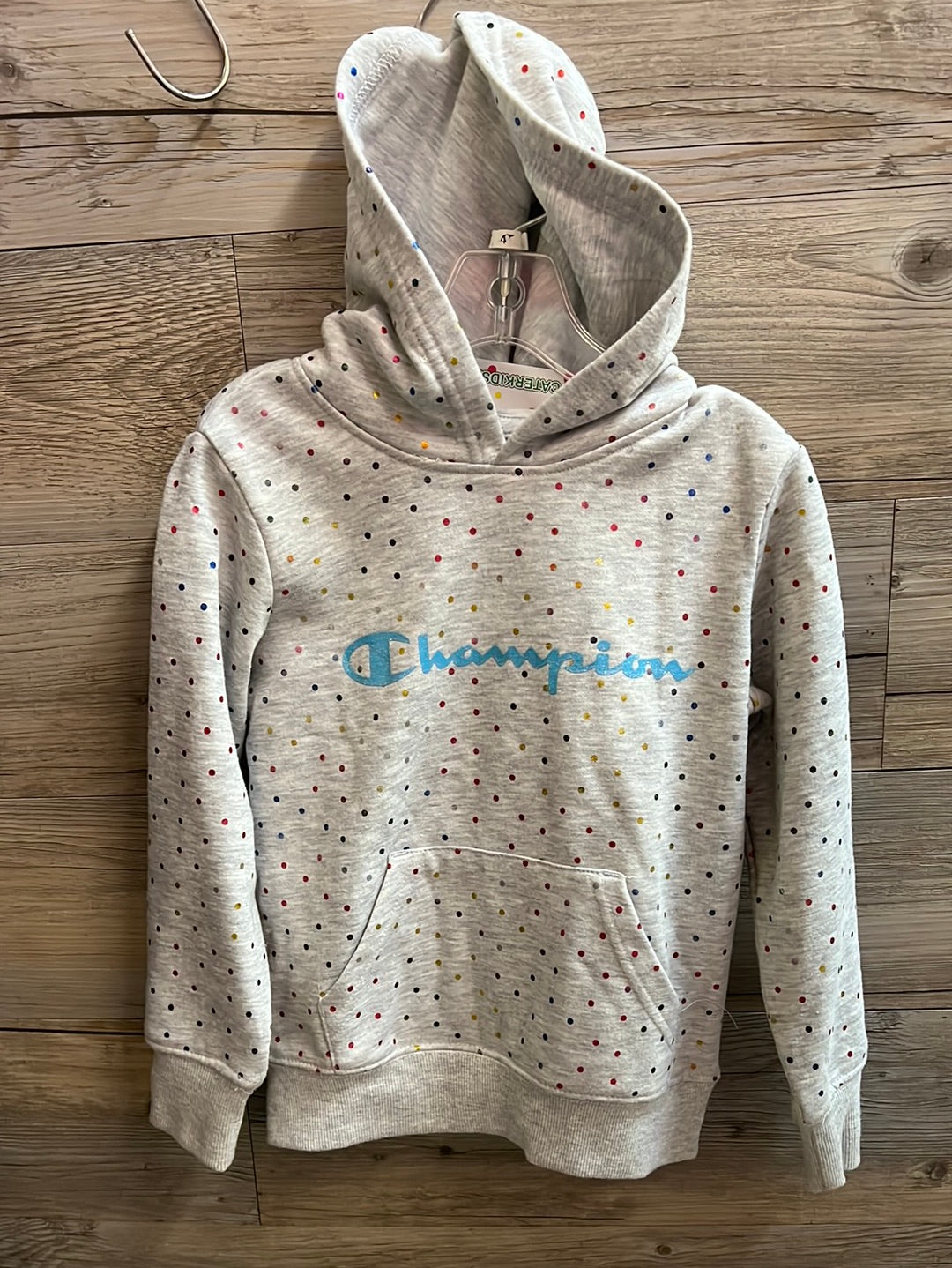 Champion Hoodie, Size 4T – Caterkids