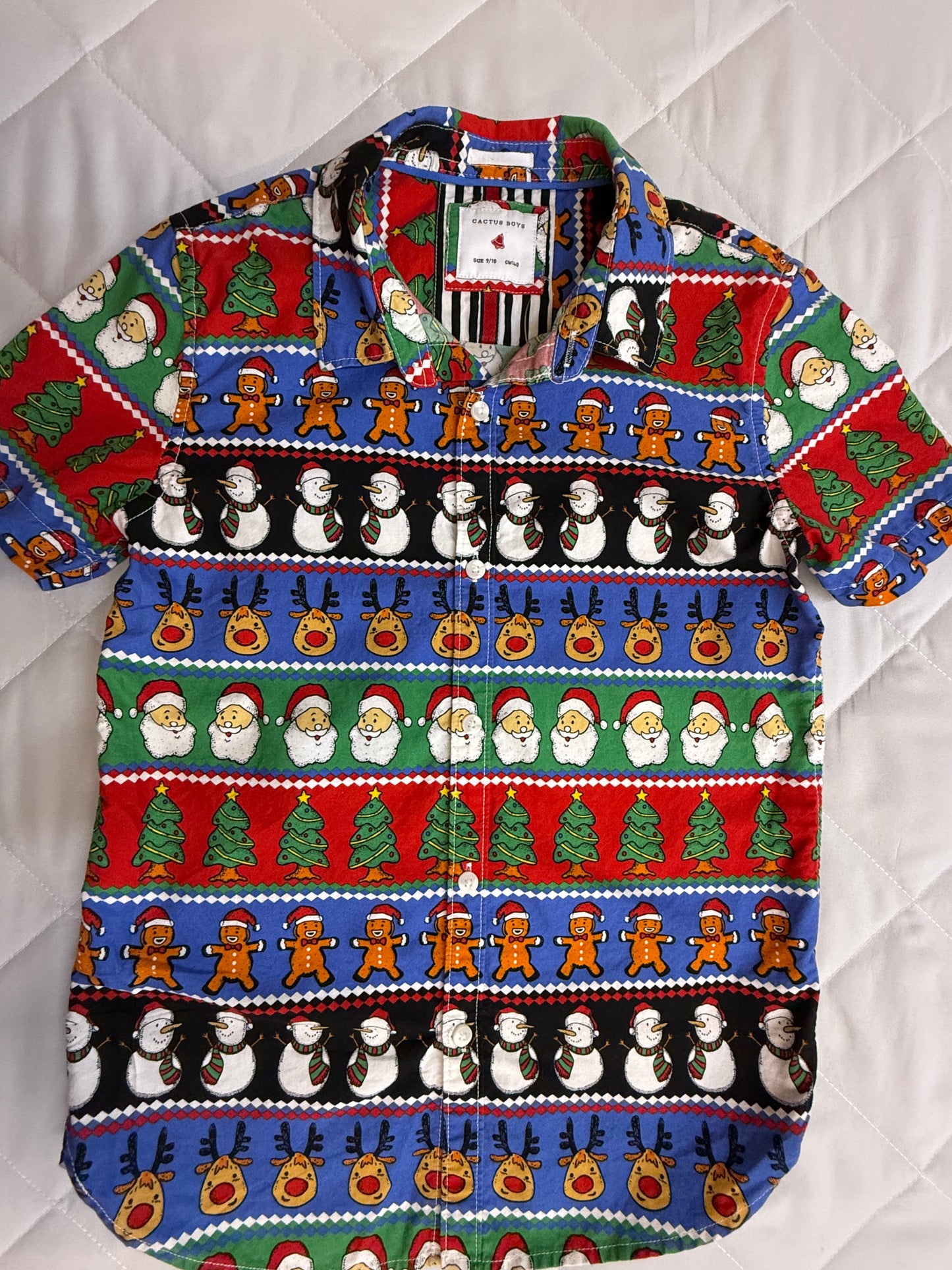 Cactus Boys, 8 years