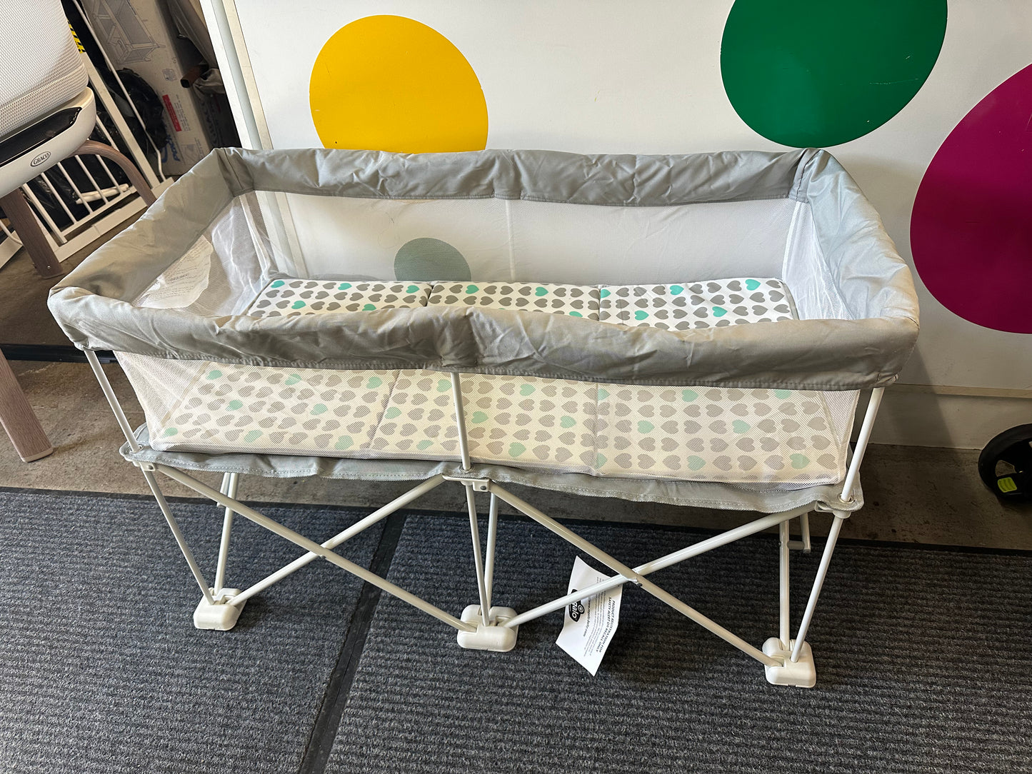 Regalo Bassinet