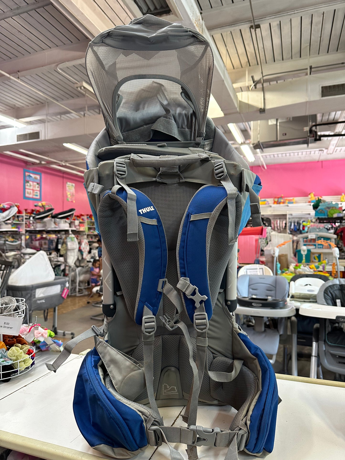 Thule Sapling Elite Hiking Carrier Backpack