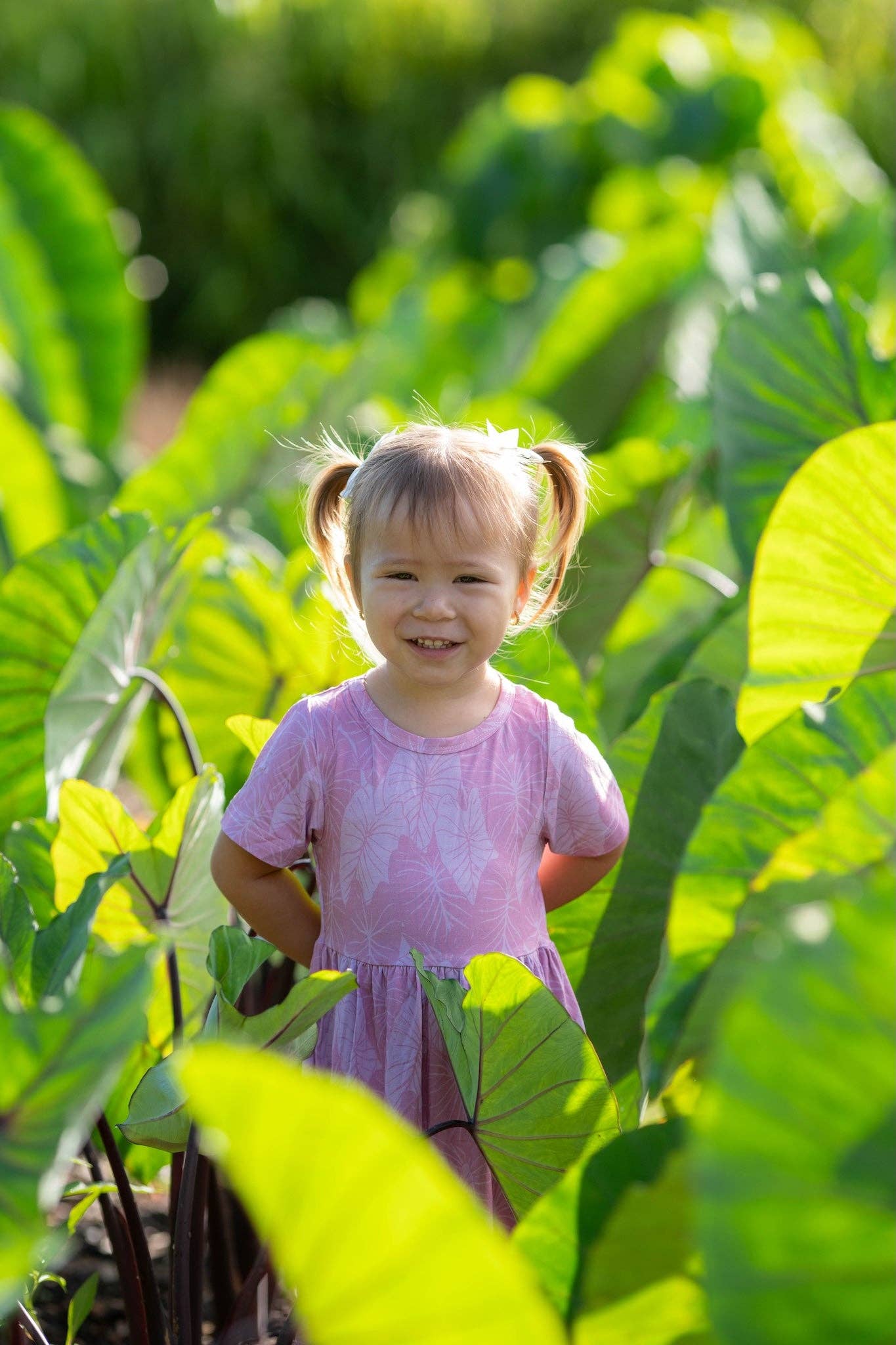 Pink Loʻi Kalo Bamboo Kaliko Dress: 4Y