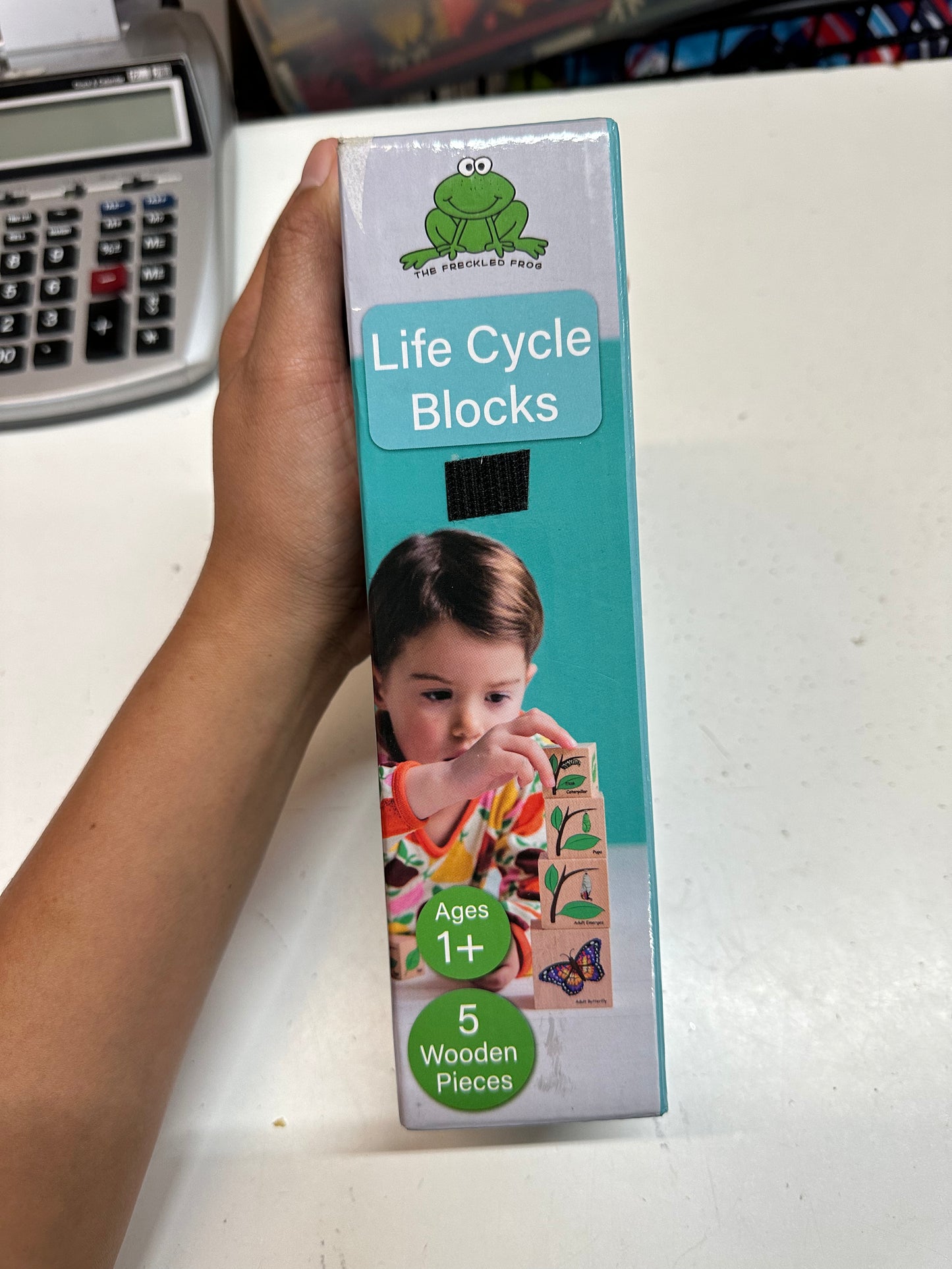 Life Cycle Blocks