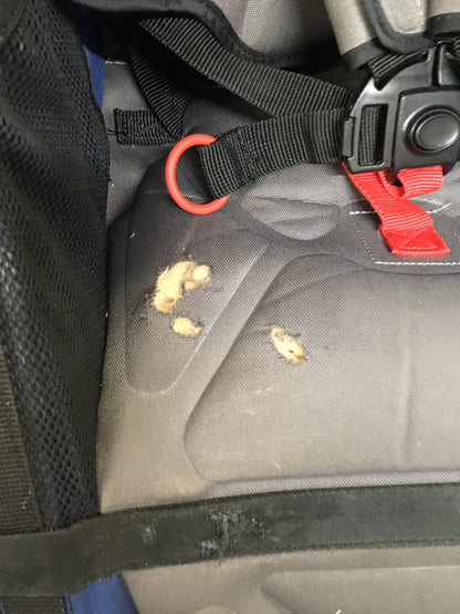 BOB Duallie Jogging Double Stroller