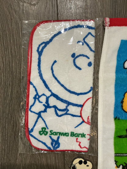 vintage Snoopy bath and grooming, bundle brush wash cloth towel, scrub￼