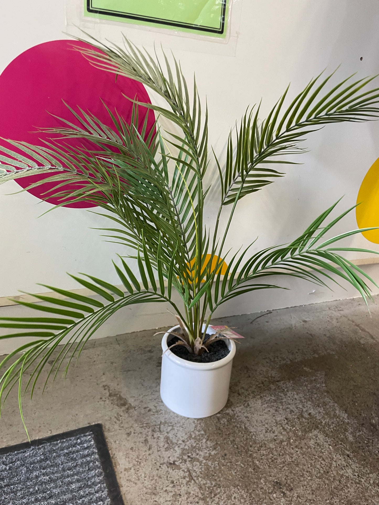 Fake plant