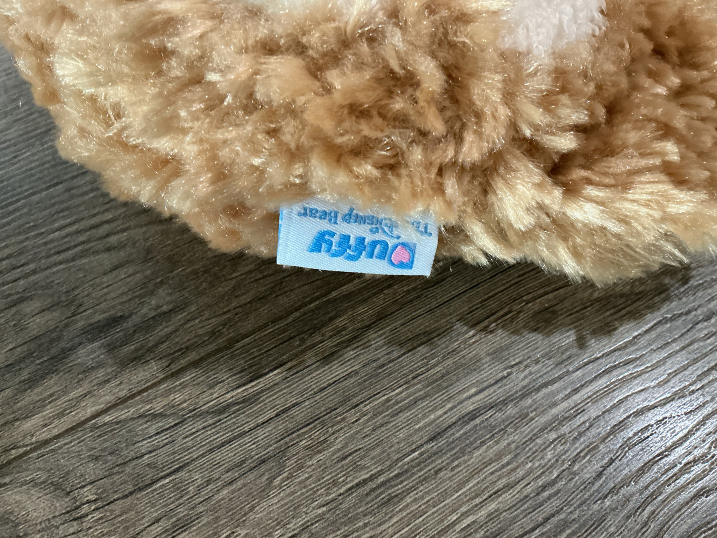 Tokyo Disneyland, shoulder bag, Duffy and friends 20th vacation package exclusive￼