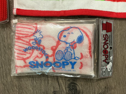 vintage Snoopy bath and grooming, bundle brush wash cloth towel, scrub￼