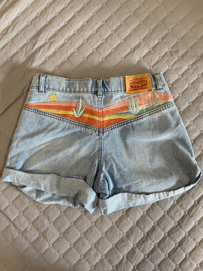 Levis Shorts, 12