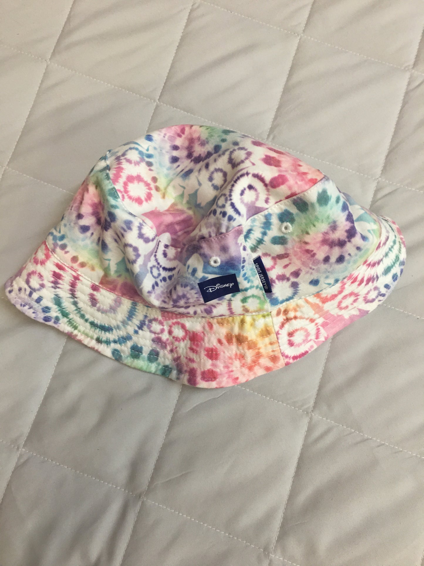 Disney Hat