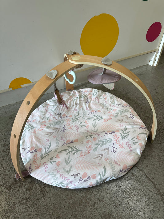 Ingenuity Play Gym