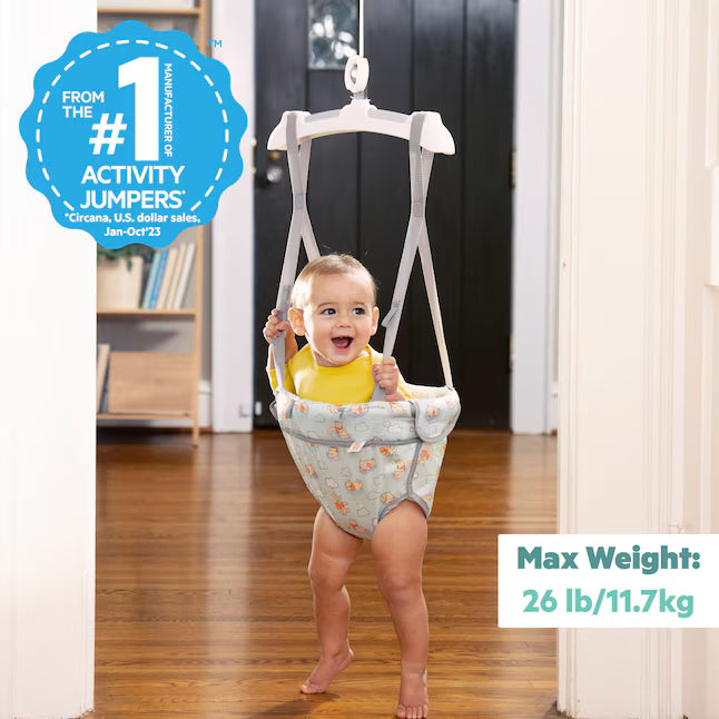 Bright Starts Winnie the Pooh Doorway Jumper