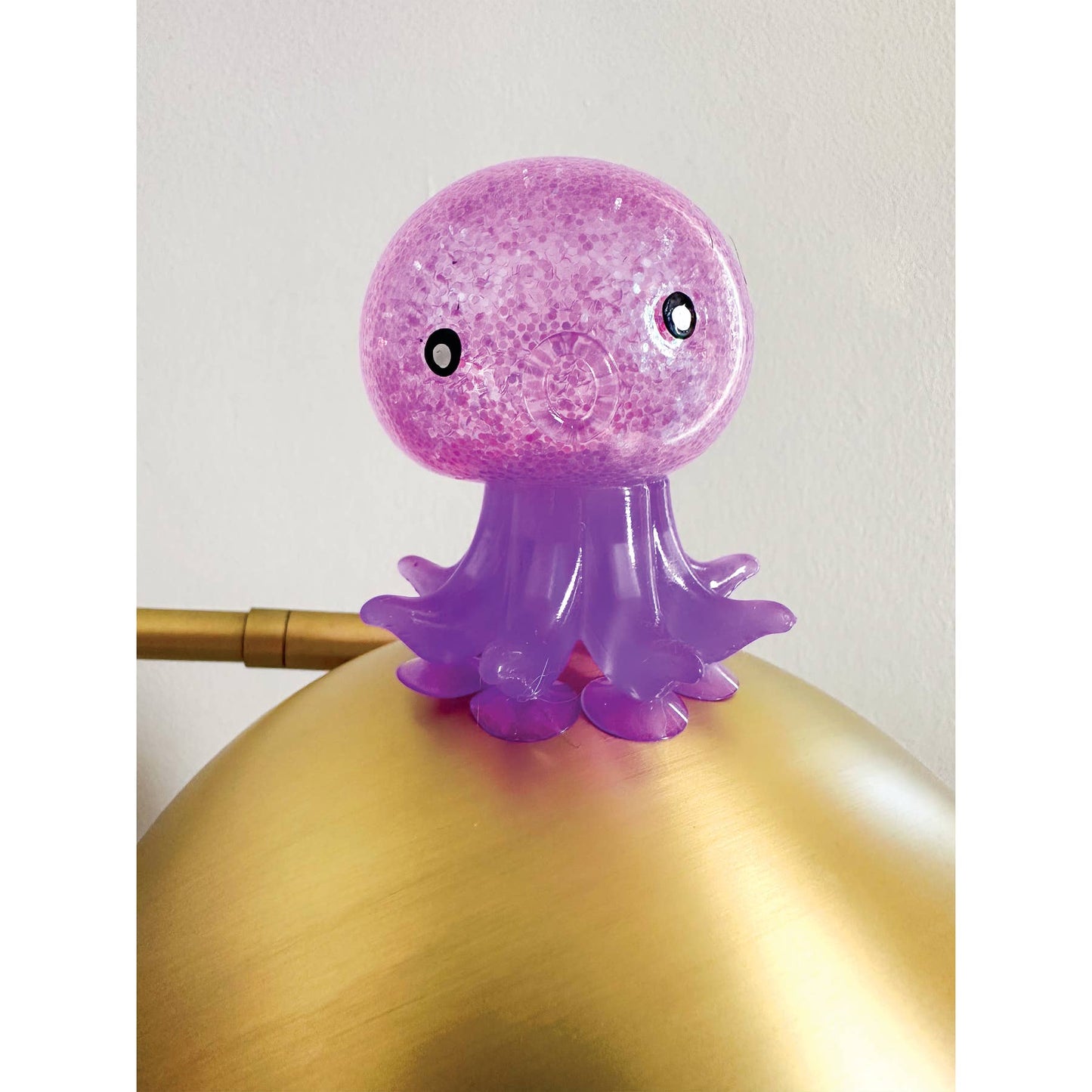 OCTOPUS SUCKER