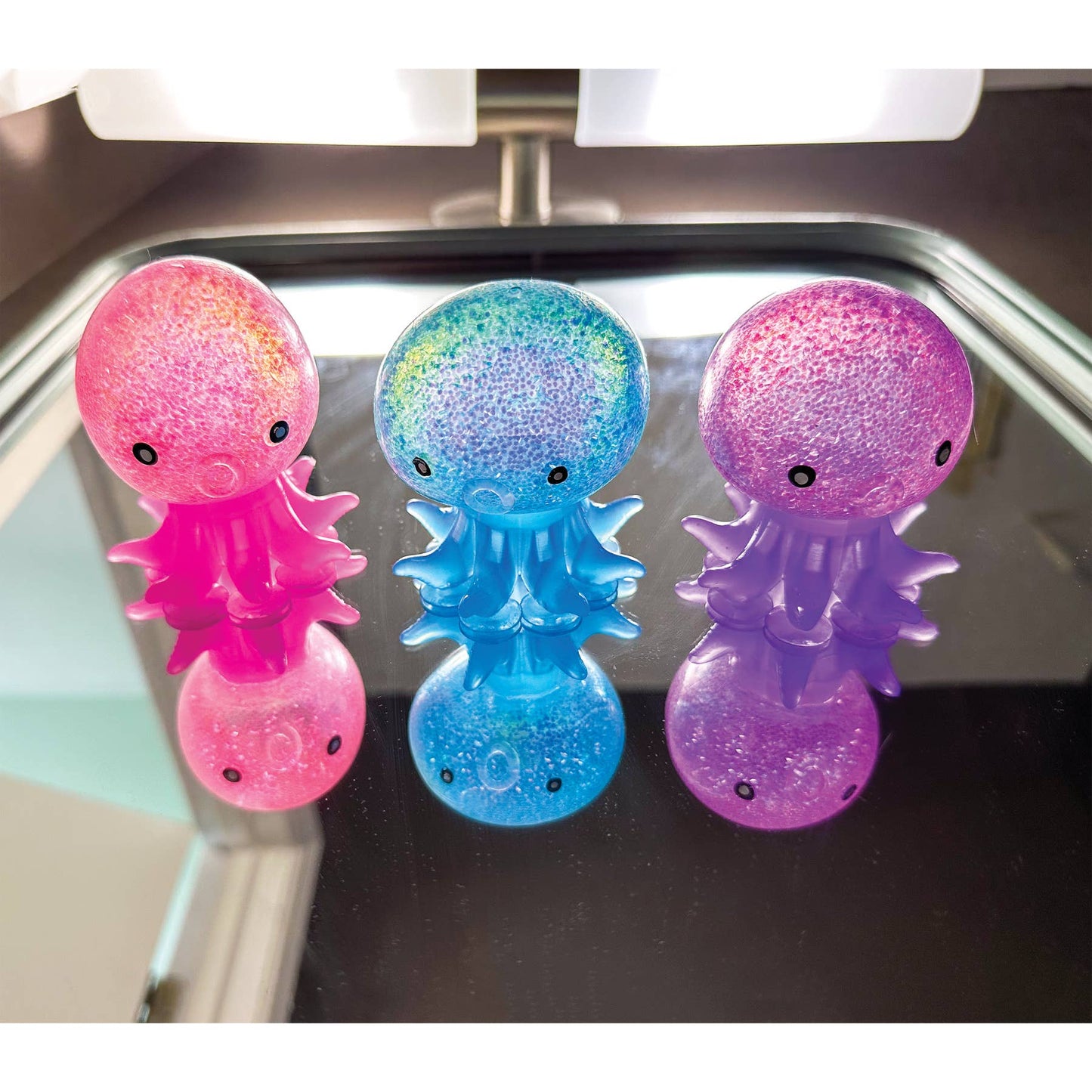 OCTOPUS SUCKER