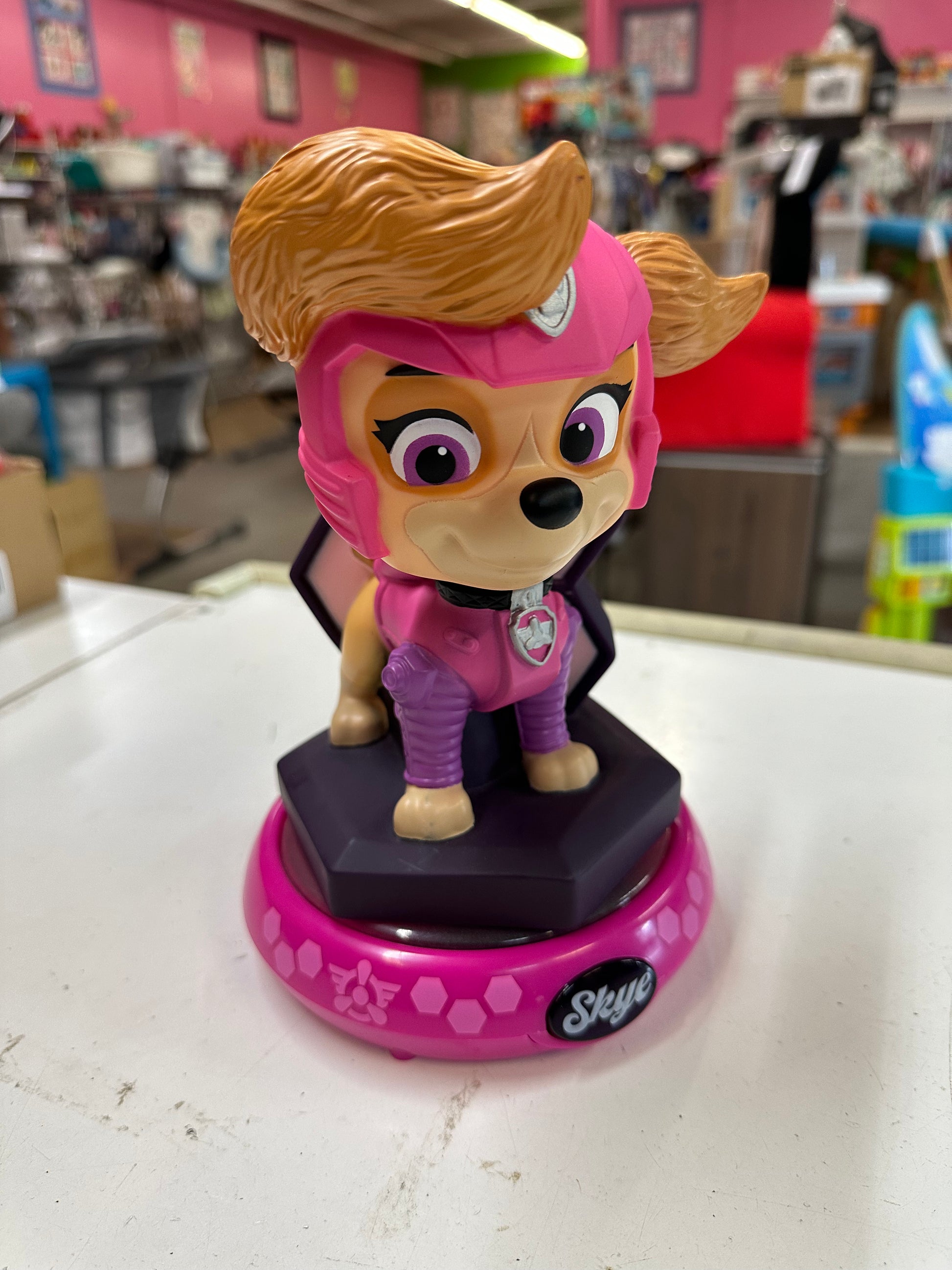 Night time skye paw patrol hotsell