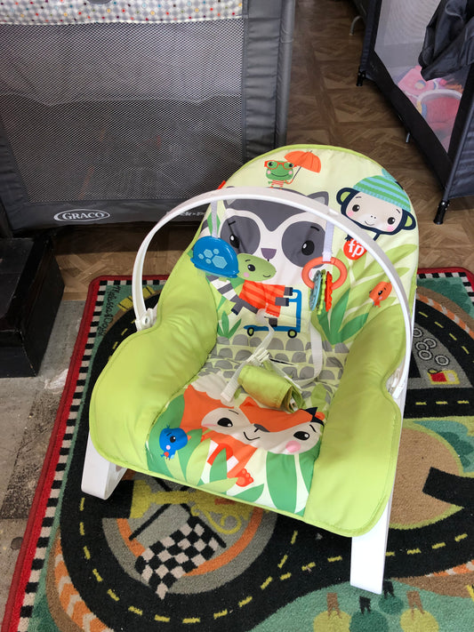 Fisher Price Infant to Toddler Rocker, Green